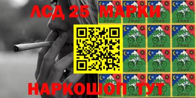 гидра Новозыбков