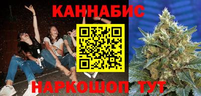 гидра Новозыбков