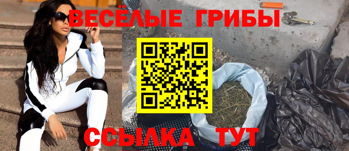 Галлюциногенные грибы GOLDEN TEACHER  Псилоцибиновые грибы мухоморы  Торжок  Вход с VPN 